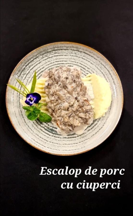 Hotel Padesul Făget 외부 사진