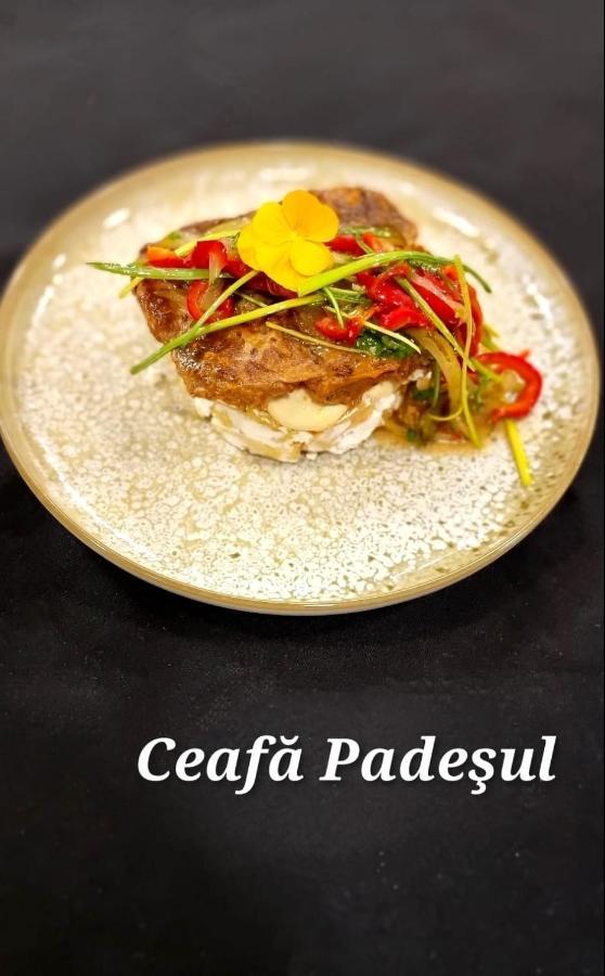 Hotel Padesul Făget 외부 사진